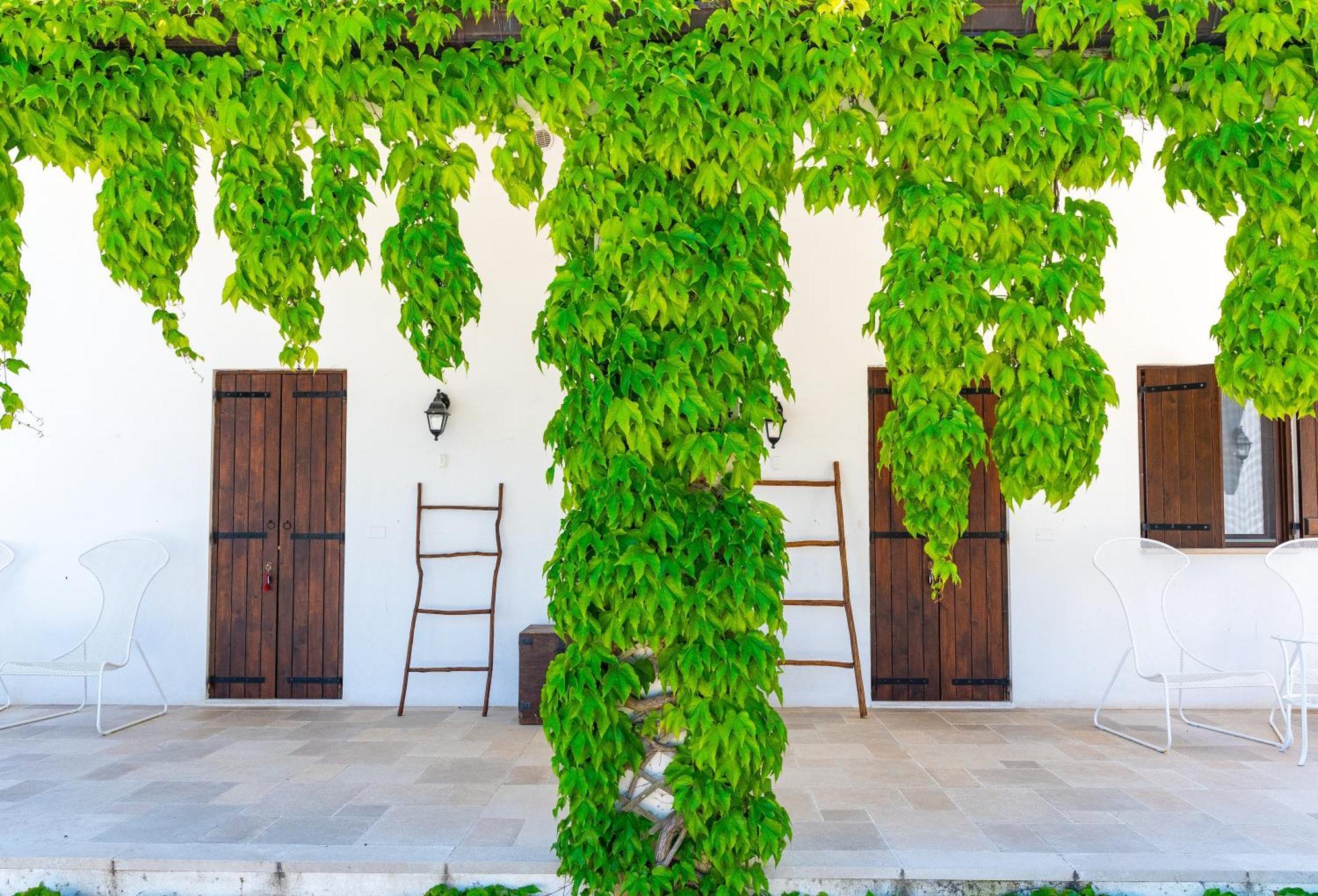 Shanti Home (Adults Only) Vieste Exterior photo